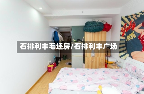 石排利丰毛坯房/石排利丰广场-第3张图片