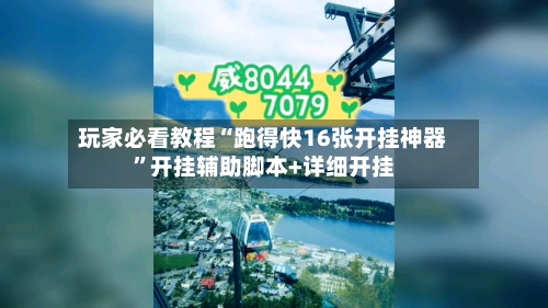 玩家必看教程“跑得快16张开挂神器”开挂辅助脚本+详细开挂-第2张图片