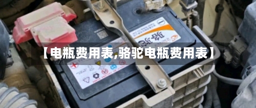 【电瓶费用表,骆驼电瓶费用表】-第2张图片
