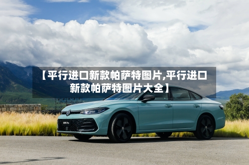 【平行进口新款帕萨特图片,平行进口新款帕萨特图片大全】-第2张图片