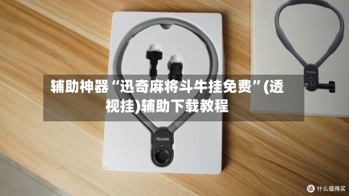 辅助神器“迅奇麻将斗牛挂免费”(透视挂)辅助下载教程-第2张图片