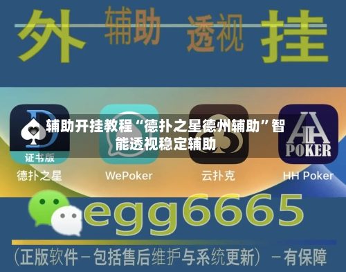 辅助开挂教程“德扑之星德州辅助	”智能透视稳定辅助-第2张图片