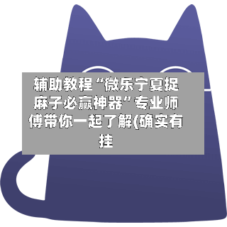 辅助教程“微乐宁夏捉麻子必赢神器”专业师傅带你一起了解(确实有挂-第3张图片