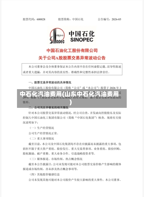 中石化汽油费用(山东中石化汽油费用)-第3张图片
