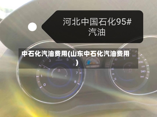 中石化汽油费用(山东中石化汽油费用)-第1张图片