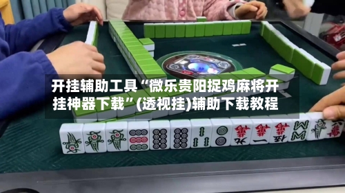 开挂辅助工具“微乐贵阳捉鸡麻将开挂神器下载	”(透视挂)辅助下载教程-第2张图片