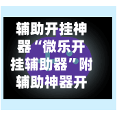 辅助开挂神器“微乐开挂辅助器	”附辅助神器开挂脚本详细步骤-第1张图片