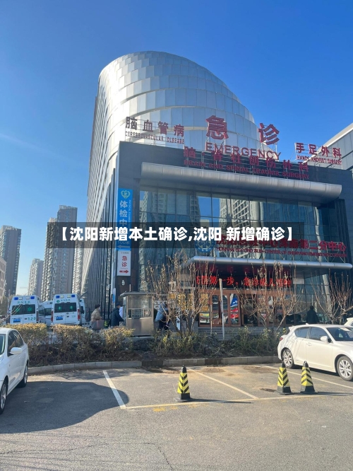 【沈阳新增本土确诊,沈阳 新增确诊】-第1张图片