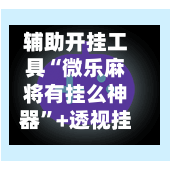 辅助开挂工具“微乐麻将有挂么神器”+透视挂	”开挂辅助软件教程-第2张图片