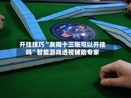 开挂技巧“友间十三张可以开挂吗”智能游戏透视辅助专家-第3张图片