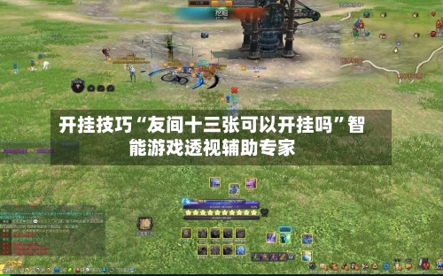 开挂技巧“友间十三张可以开挂吗	”智能游戏透视辅助专家-第2张图片