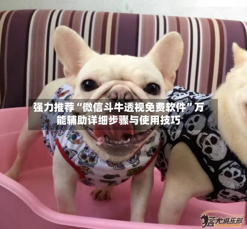 强力推荐“微信斗牛透视免费软件”万能辅助详细步骤与使用技巧-第3张图片