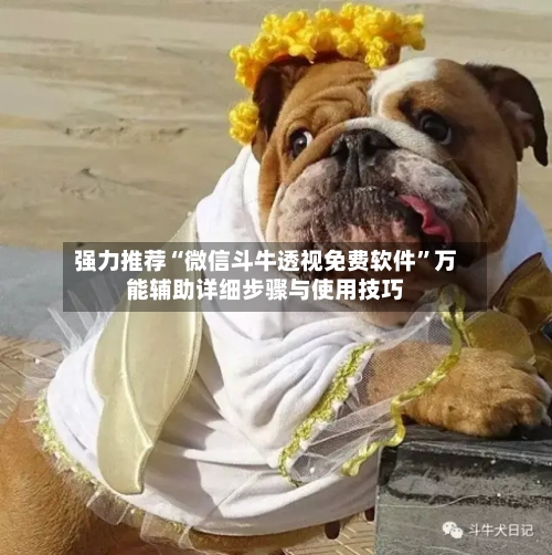 强力推荐“微信斗牛透视免费软件”万能辅助详细步骤与使用技巧-第2张图片