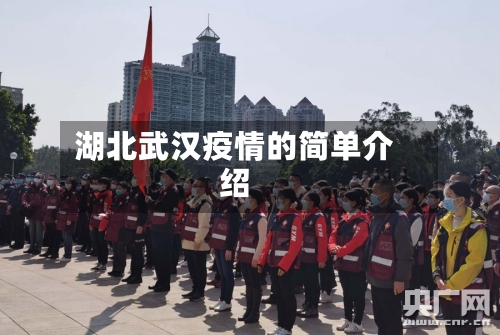 湖北武汉疫情的简单介绍-第3张图片