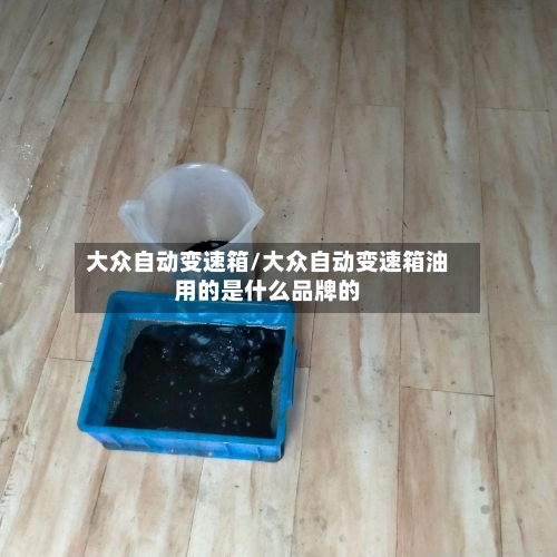 大众自动变速箱/大众自动变速箱油用的是什么品牌的-第1张图片