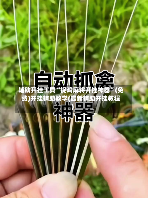 辅助开挂工具“捉鸡麻将开挂神器”(免费)开挂辅助教学(最新辅助开挂教程)-第3张图片