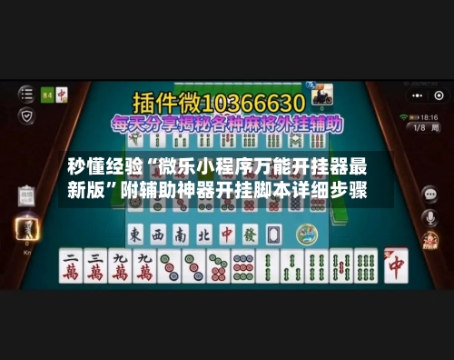 秒懂经验“微乐小程序万能开挂器最新版	”附辅助神器开挂脚本详细步骤-第1张图片
