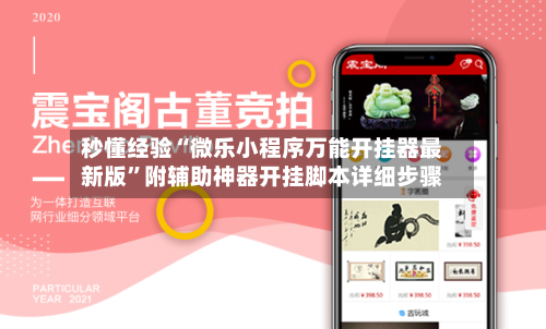 秒懂经验“微乐小程序万能开挂器最新版”附辅助神器开挂脚本详细步骤-第2张图片