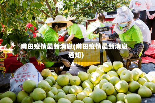 甫田疫情最新消息(甫田疫情最新消息通知)-第1张图片