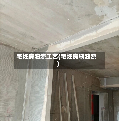 毛坯房油漆工艺(毛坯房刷油漆)-第2张图片