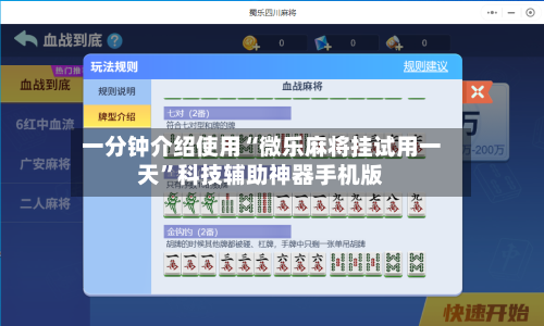 一分钟介绍使用“微乐麻将挂试用一天”科技辅助神器手机版-第2张图片