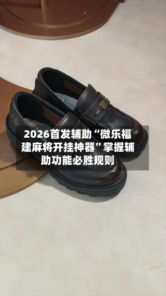 2026首发辅助“微乐福建麻将开挂神器	”掌握辅助功能必胜规则-第2张图片