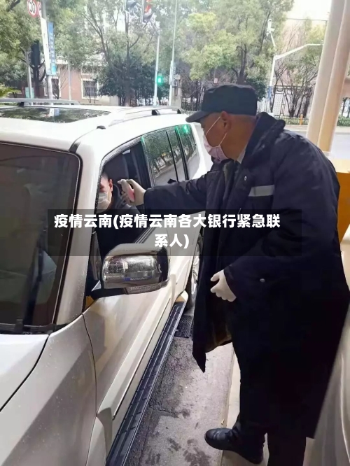疫情云南(疫情云南各大银行紧急联系人)-第2张图片