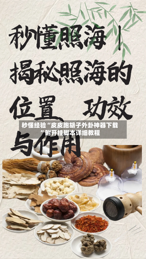 秒懂经验“皮皮跑胡子外卦神器下载	”附开挂脚本详细教程-第1张图片