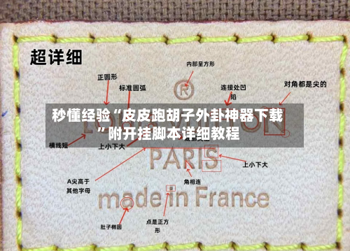 秒懂经验“皮皮跑胡子外卦神器下载”附开挂脚本详细教程-第3张图片