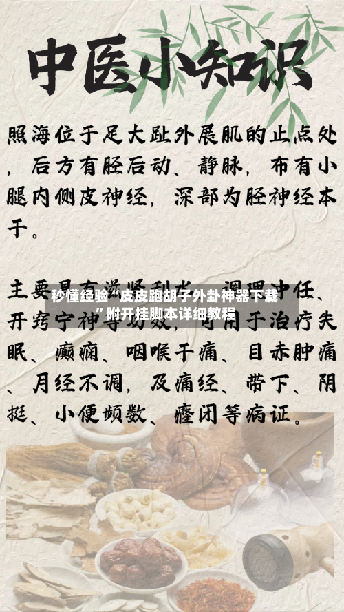 秒懂经验“皮皮跑胡子外卦神器下载”附开挂脚本详细教程-第2张图片