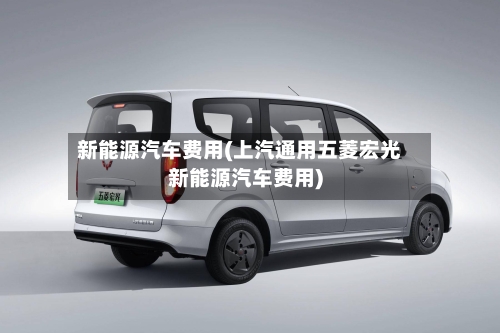 新能源汽车费用(上汽通用五菱宏光新能源汽车费用)-第2张图片