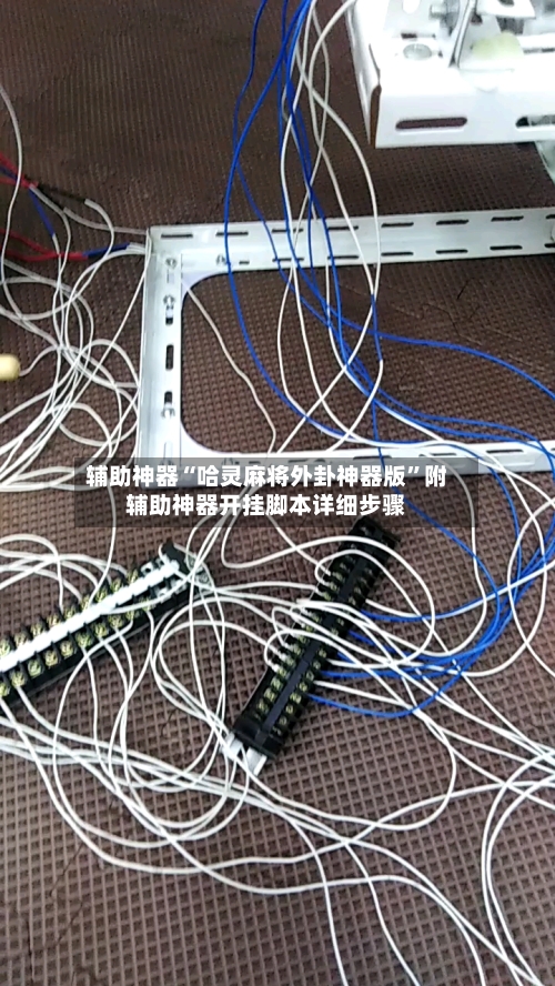 辅助神器“哈灵麻将外卦神器版”附辅助神器开挂脚本详细步骤-第2张图片