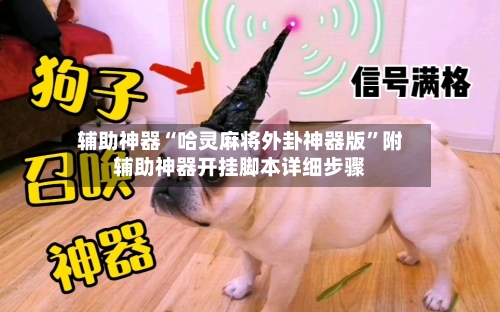 辅助神器“哈灵麻将外卦神器版”附辅助神器开挂脚本详细步骤-第1张图片