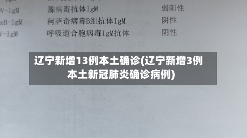 辽宁新增13例本土确诊(辽宁新增3例本土新冠肺炎确诊病例)-第2张图片