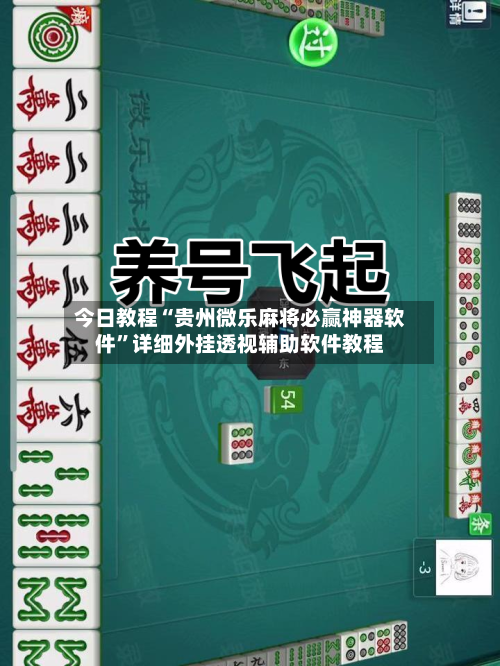 今日教程“贵州微乐麻将必赢神器软件”详细外挂透视辅助软件教程-第3张图片