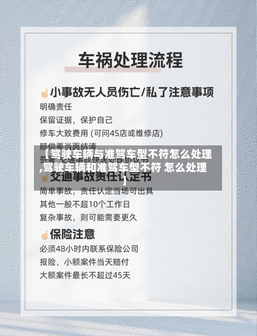 【驾驶车辆与准驾车型不符怎么处理,驾驶车辆和准驾车型不符 怎么处理】-第3张图片