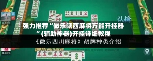 强力推荐“微乐陕西麻将万能开挂器”(辅助神器)开挂详细教程-第3张图片