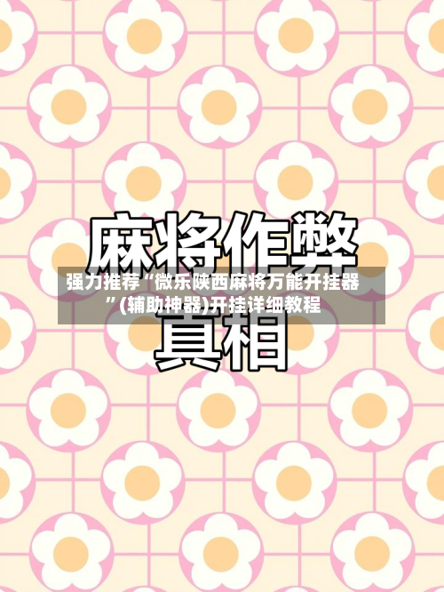 强力推荐“微乐陕西麻将万能开挂器	”(辅助神器)开挂详细教程-第2张图片