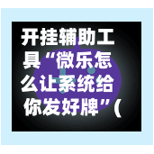 开挂辅助工具“微乐怎么让系统给你发好牌”(作弊)辅助透视教程-第3张图片