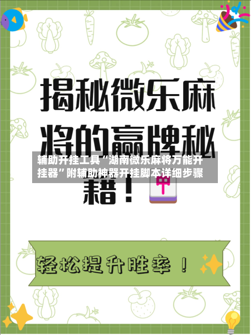 辅助开挂工具“湖南微乐麻将万能开挂器”附辅助神器开挂脚本详细步骤-第3张图片