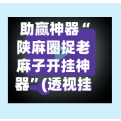助赢神器“陕麻圈捉老麻子开挂神器	”(透视挂)详细用法教程-第2张图片