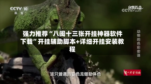 强力推荐“八闽十三张开挂神器软件下载”开挂辅助脚本+详细开挂安装教程-第1张图片