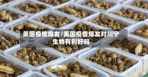 美国疫情爆发/美国疫情爆发对川宁生物有利好吗-第3张图片