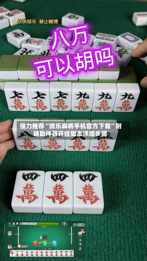 强力推荐“微乐麻将手机官方下载”附辅助神器开挂脚本详细步骤-第2张图片