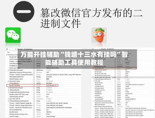 万能开挂辅助“钱塘十三水有挂吗”智能辅助工具使用教程-第3张图片