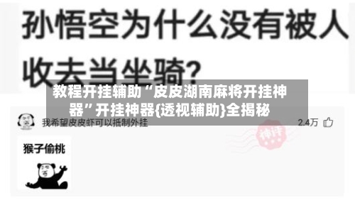 教程开挂辅助“皮皮湖南麻将开挂神器”开挂神器{透视辅助}全揭秘-第2张图片