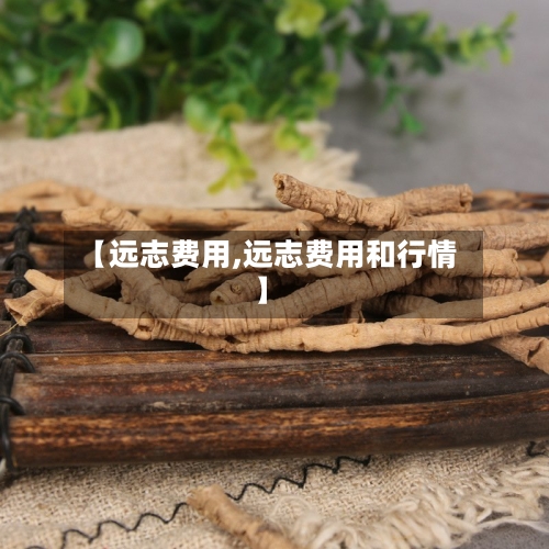 【远志费用,远志费用和行情】-第2张图片