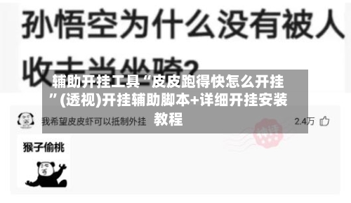 辅助开挂工具“皮皮跑得快怎么开挂	”(透视)开挂辅助脚本+详细开挂安装教程-第1张图片