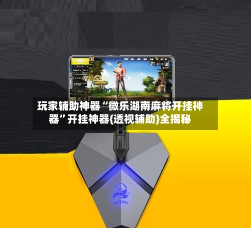 玩家辅助神器“微乐湖南麻将开挂神器	”开挂神器{透视辅助}全揭秘-第2张图片