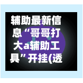 辅助最新信息“哥哥打大a辅助工具”开挂(透视)最新辅助详细-第2张图片